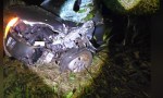  Tragedia en la Ruta 12: un motociclista de Jardín América perdió la vida tras un violento choque