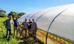 La Escuela Agrotécnica fortaleció su huerta con un nuevo invernadero techado