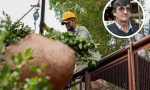 Yerbateros cruzan al presidente del INYM por negar la crisis
