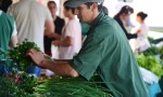Misiones suma nuevos programas “Ahora” para impulsar el consumo y acompañar a las familias