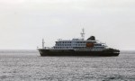  Alerta internacional: El hantavirus golpea a un crucero y pone en foco a la peligrosa "cepa andina" 