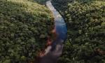 Misiones, una isla de estabilidad y crecimiento en un contexto de incertidumbre.