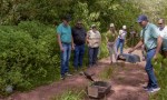  ​Misión Libertad: El emotivo regreso de animales silvestres a la selva del Moconá 