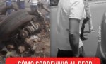 ¿Cómo sobrevivió al peor accidente de avión del siglo?