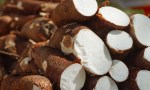  ​Misiones apuesta fuerte al "oro blanco": lanzan millonaria línea de créditos para la industria de la mandioca