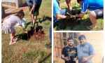 Eldorado: el sublema "Compromiso con la gente" entrego árboles nativos 