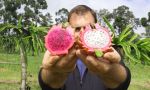 Chacras multiproductivas: proponen un régimen para diversificar la producción y fortalecer el arraigo rural