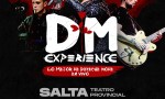 DM EXPERIENCE