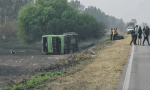 Siniestro fatal en Jujuy: un micro de larga distancia chocó con un auto y hay cuatro muertos