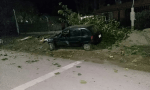 Violento choque contra un árbol en Albardón: dos jóvenes hospitalizadas