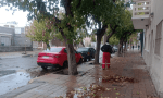 Jueves con temperatura bajo cero en San Juan