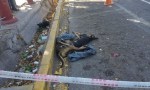 Alerta en Pedernal por la aparición de 15 a 20 perros envenenados