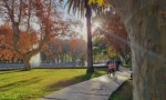 La semana comienza con días primaverales en San Juan