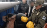 Detuvieron en San Juan a una mujer con más de 2 kilos de marihuana en un colectivo de larga distancia