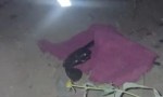 Hombre armado huyó de la Policía y abandonó un revólver en un descampado de Rivadavia