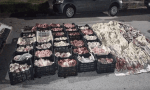 Decomisan más de 2 mil kilos de achuras en condiciones insalubres en Sarmiento