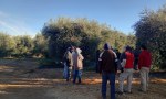 ESCÁNDALO: La finca del senador Juan Manzur 