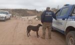 MERODEO EN ZONA RURAL