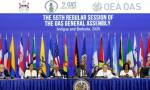 Controversia en la OEA: denuncian censura y exclusión de candidato provida en la CIDH