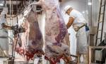 Decisión de alto impacto: Nación permitirá el ingreso de asado con hueso a la Patagonia