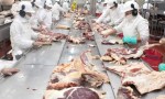 Chile suspende la importación de carne argentina y enciende la alarma en la Patagonia