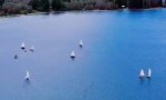 El lago Moquehue vibró con la primera Regata del Pehuén