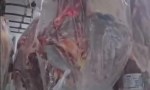 Llegó el asado con hueso del norte: hasta 30% más barato, pero surgen dudas por controles sanitarios