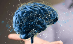 Hábitos saludables para un cerebro sano