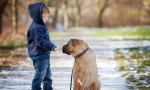 EL NIÑO Y EL PERRO