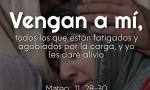 LITURGIA DEL DÍA 