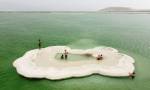 Pozas de agua dulce aparecen junto al Mar Muerto y sorprenden por el regreso de la vida