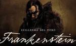 Frankenstein y el monstruo que habita en mí